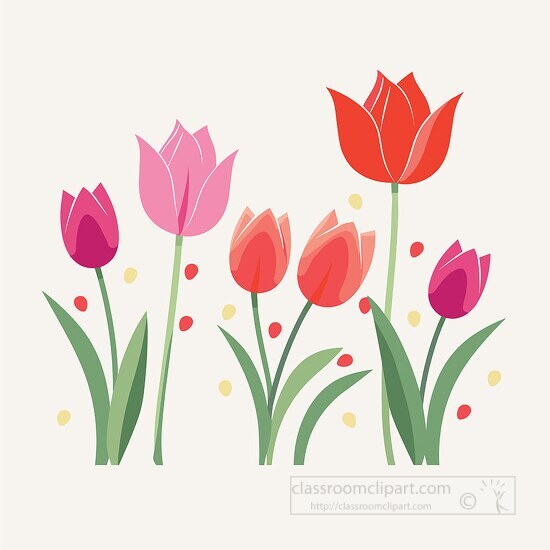five colorful tulips in pink and red hues with green stems and l