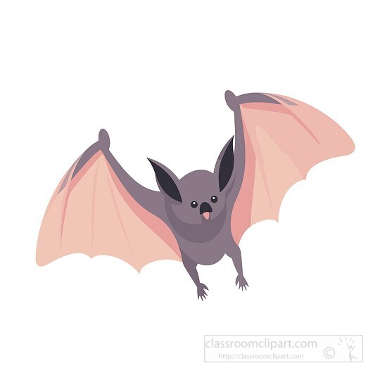 flying bat nocturnal mamal 