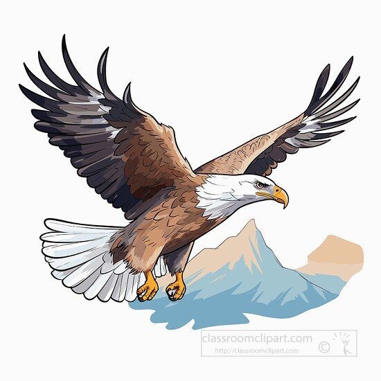 flying eagle large bird of prey clip art