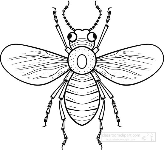 flying insect black outline head body leg printable clip art