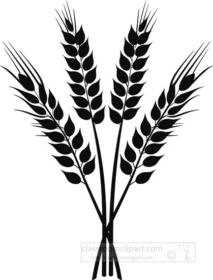 four wheat black silhouette clip art