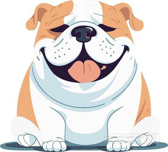 front view of a smiling pet english bulldog