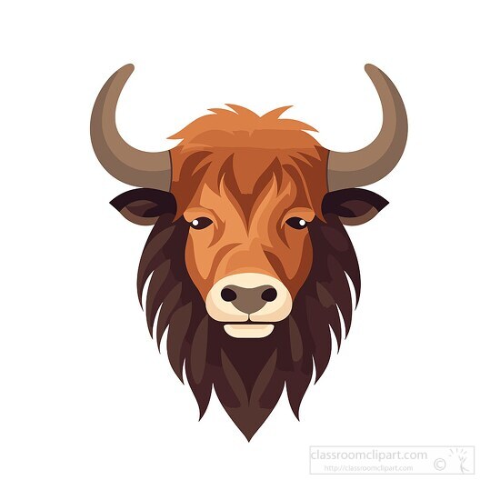 front view of hairy yak clip art