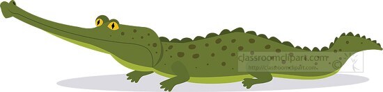 gavial or fish eating crocodile Clipart