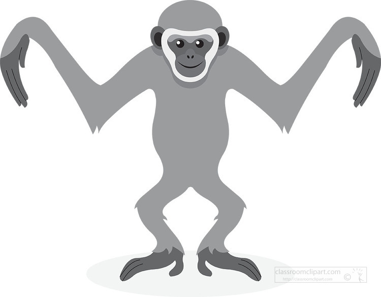 gibbon cartoon monkey with its arms outstretched gray color clip