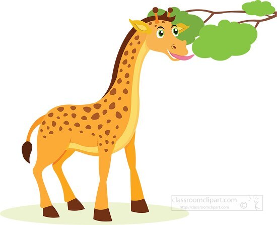 giraffe eating leaf from a tree clipart
