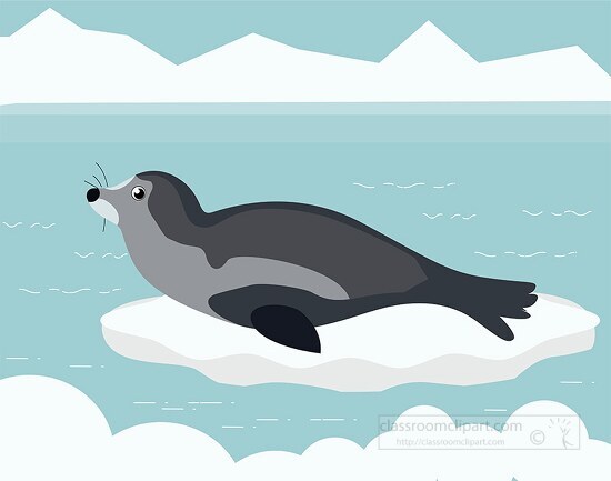 gray seal resting on piece of ice in the ocean clipart