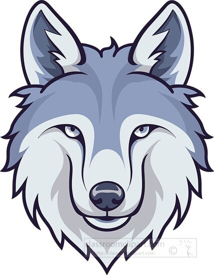 gray white wolf animal face