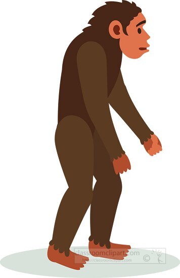 great apes primates clipart