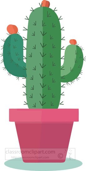 green cactus is sitting in a pink planter