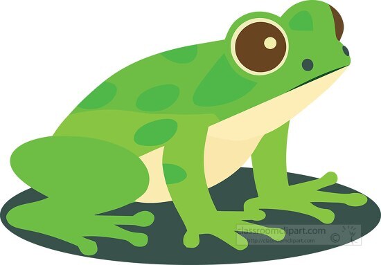 green frog with brown eyes sitting on a leaf