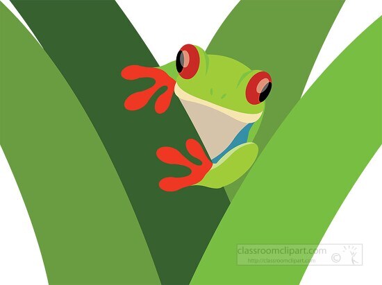 green frog with red eyes is peeking out of a plant clip art