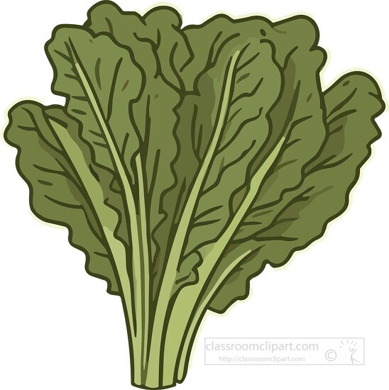 lettuce leaf clip art