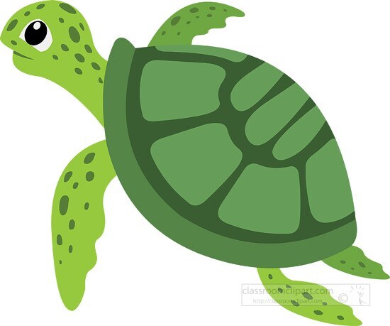 green turtle clipart