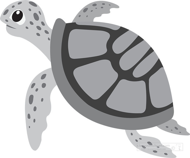 turtle shell clip art black and white