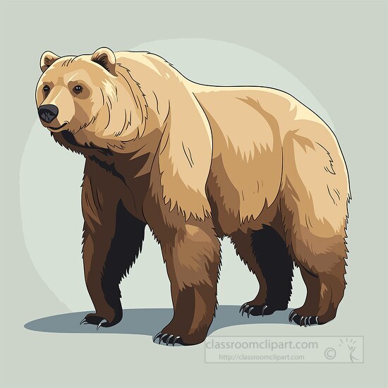 grizzly bear mammal native to North America