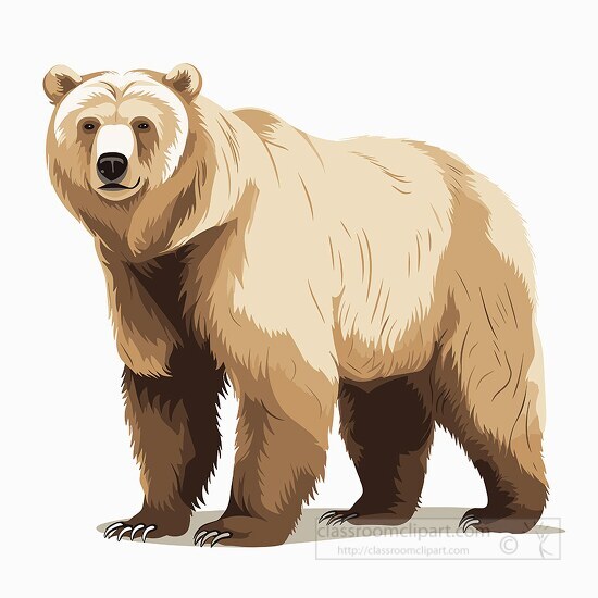 grizzly bear with light brown coat