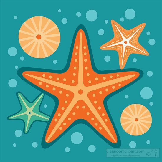 group of orange starfish of various sizes with cute sea shells