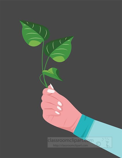 hand holding a plant with leaves in the air clip art
