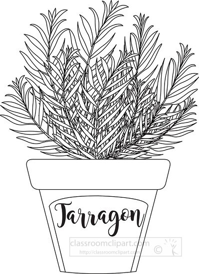 herb tarragon labeled in planter black white outline