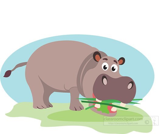 hippopotamus eating grass and plants