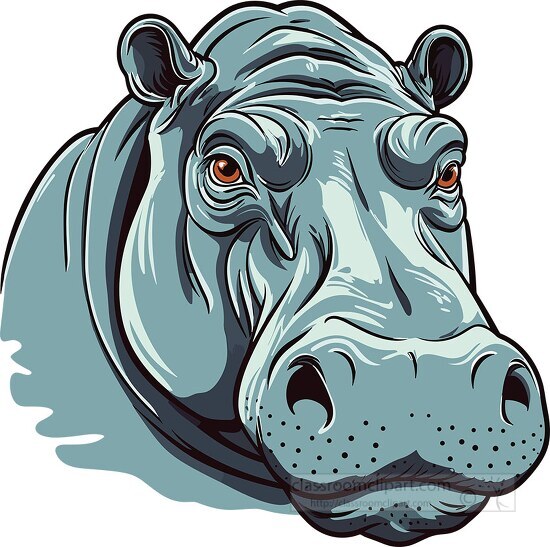 hippopotamus face