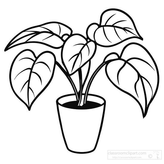 houseplant in a pot black outline clipart