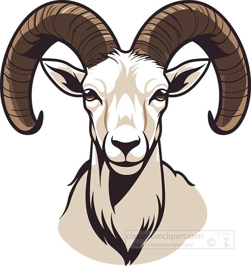 ibex with distinctive curved horns