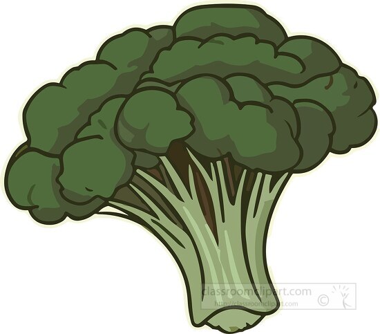 illustration of a green broccoli stalk clip art
