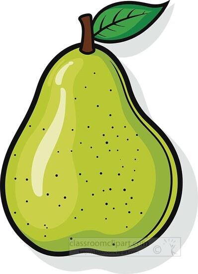 illustration of a green pear with a prominent leaf