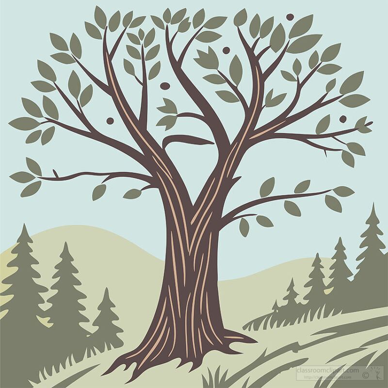 illustration of a tree with spreading branches and a natural for