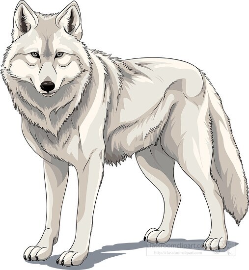 illustration of a white wolf with yellow eyes