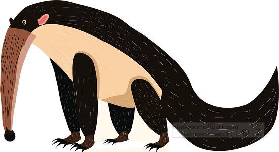 illustration of an anteater with a long snout