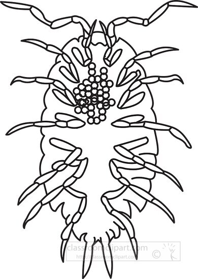insect black outline clipart 09