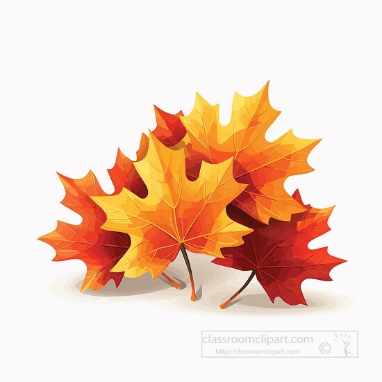 intricate veins and textures of the maple leaves clip art