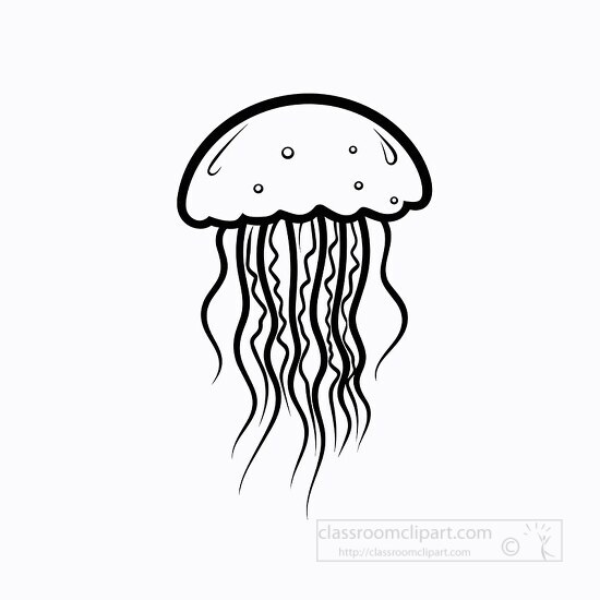 jellyfish marine animal black outline clip art