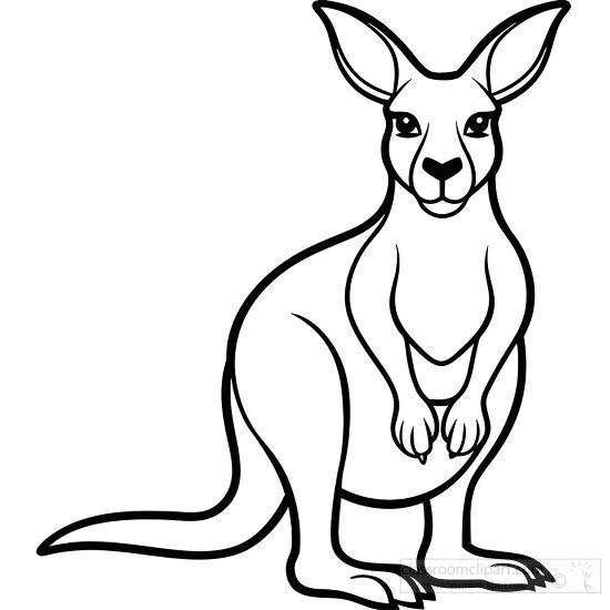 kangaroo in a standing position black outline