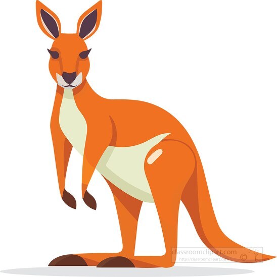 kangaroo standing on powerful hind legs clip art