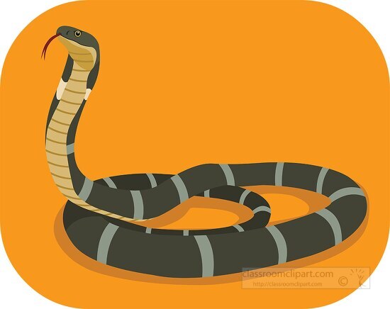 king cobra longest venomous snake lives in asia clipart