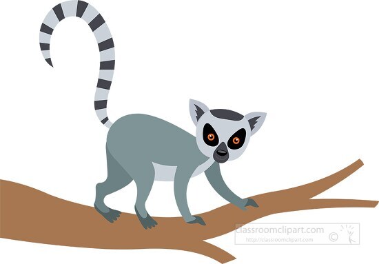 lemur is on a tree branch with its tail up
