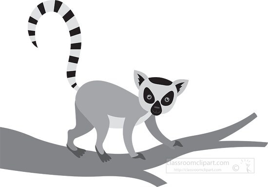 lemur is on a tree branch with its tail up gray color clip art