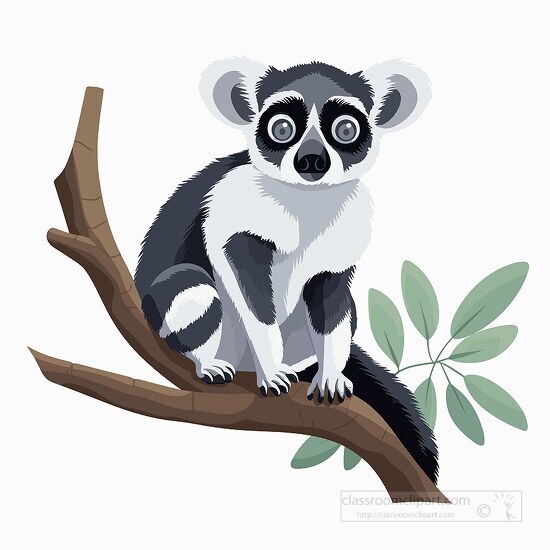 lemur resting on a tree branch clip art