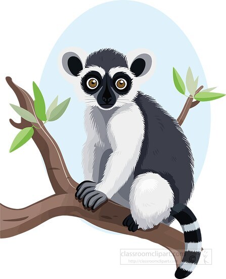 lemur sits on tree in its natural habitat clip art