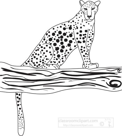 leopard black outline clipart 35