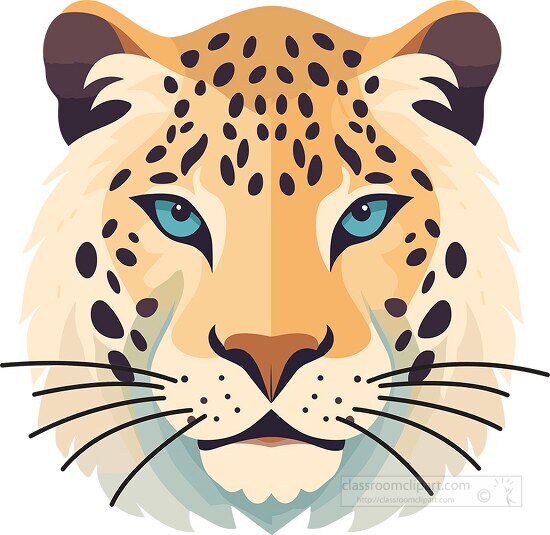 leopard face front view