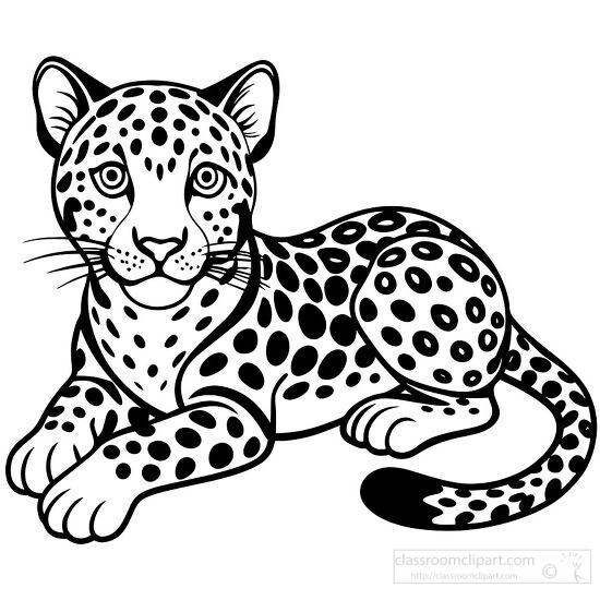 Leopard line art featuring detailed fur and whiskers