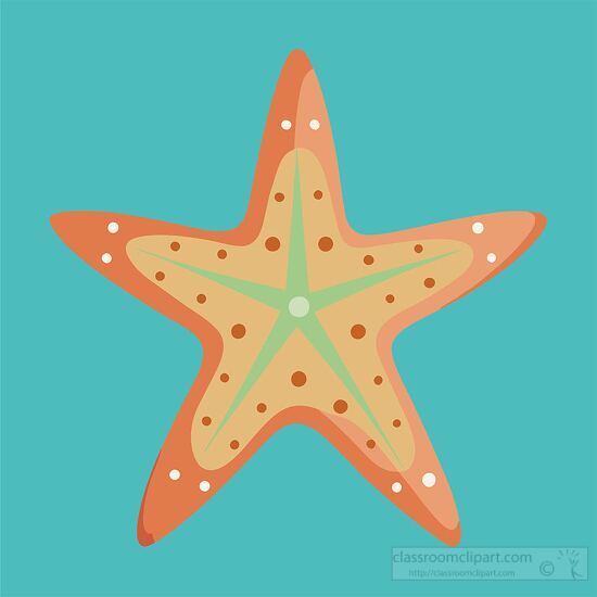 light orange starfish illustration on a teal background