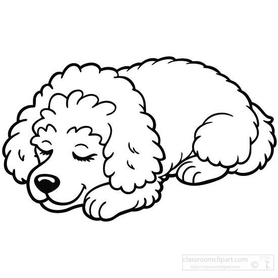 Line drawing of a cute poodle dog sleeping