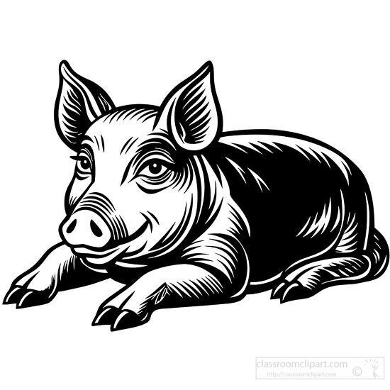 lined drawing of pig clipart with big eyes