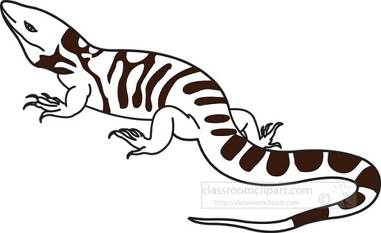 lizard black outline clipart 42